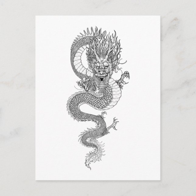 Ancient Chinese dragon  Postcard (Front)