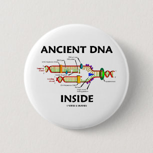 Ancient DNA Inside (DNA Replication Humour) 6 Cm Round Badge