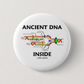 Ancient DNA Inside (DNA Replication Humour) 6 Cm Round Badge
