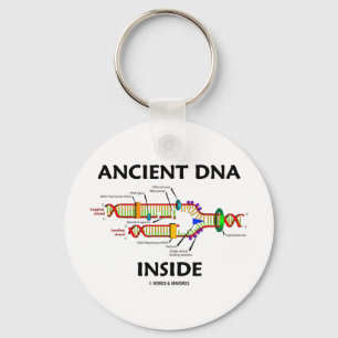 Ancient DNA Inside (DNA Replication Humour) Key Ring