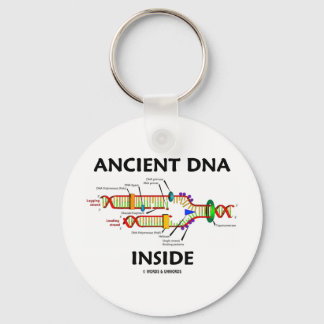 Ancient DNA Inside (DNA Replication Humour) Key Ring