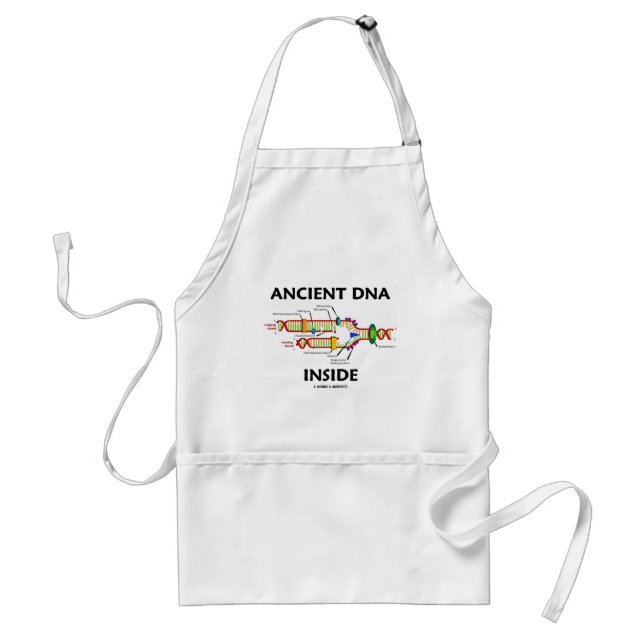 Ancient DNA Inside (DNA Replication Humour) Standard Apron (Front)