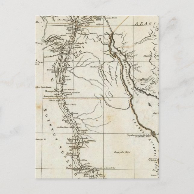 Ancient Egypt 4 Postcard (Front)