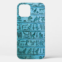 Ancient Egyptian Hieroglyphs Blue iPhone 12 Case