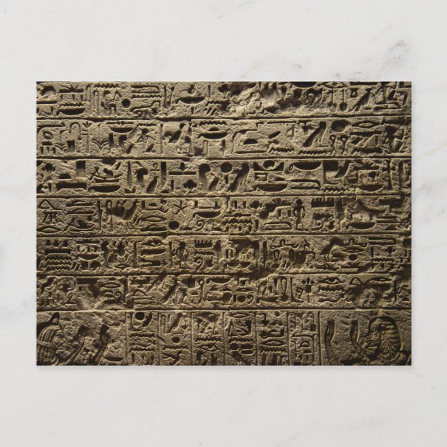 ancient egyptian hieroglyphs postcard (Front)