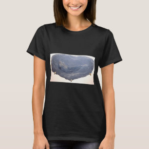 Ancient Fish Drawing T-Shirt