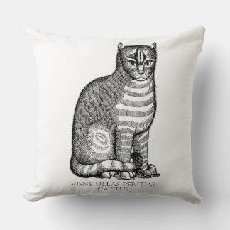 Ancient Fuzzy Cat Throw Pillow