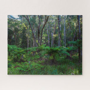 Ancient Green Gondwana Rainforest, 520 pieces Jigsaw Puzzle