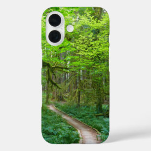 Ancient Groves Trail at Olympic National Park iPhone 16 Case