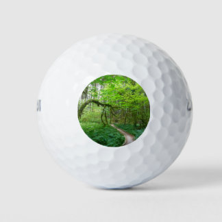 Ancient Groves Trail at Olympic National Park Golf Balls