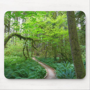 Ancient Groves Trail at Olympic National Park Mouse Mat