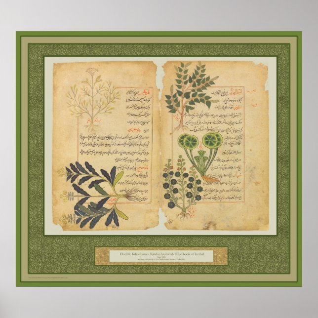 Ancient Herbal Botanic Print / Wall art (Front)