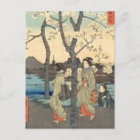 Ancient Japanese Women under Cherry Blossoms