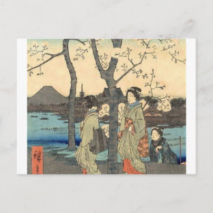 Ancient Japanese Women under Cherry Blossoms Postcard