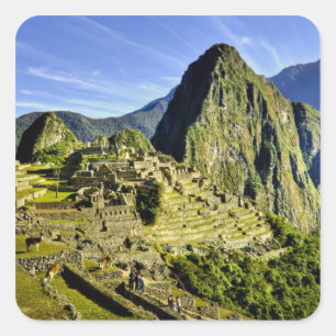 Ancient Machu Picchu, last refuge of the Square Sticker