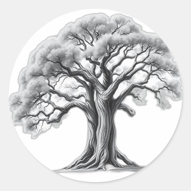 Ancient Oak Tree Charcoal Sketch Classic Round Sticker (Front)