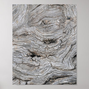 Ancient Olive Tree Bark Texture Poster