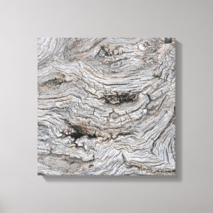 Ancient Olive Tree Bark Texture Poster Canvas Print