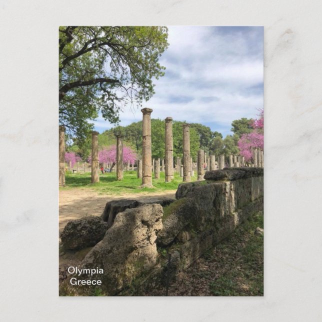 Ancient Olympia, Greece. Postcard (Front)