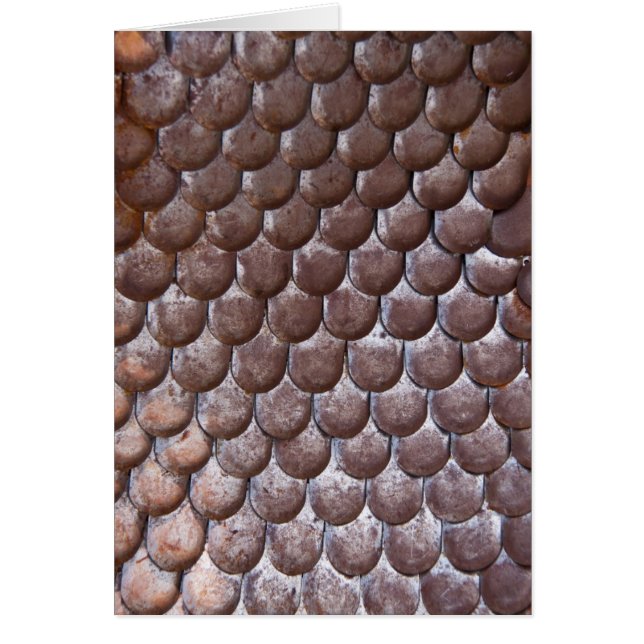 Ancient scale armour (Front)