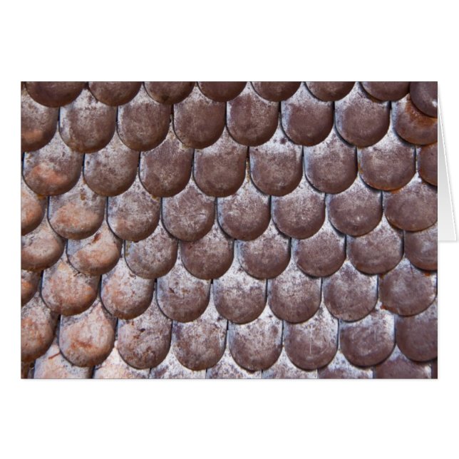 Ancient scale armour (Front Horizontal)