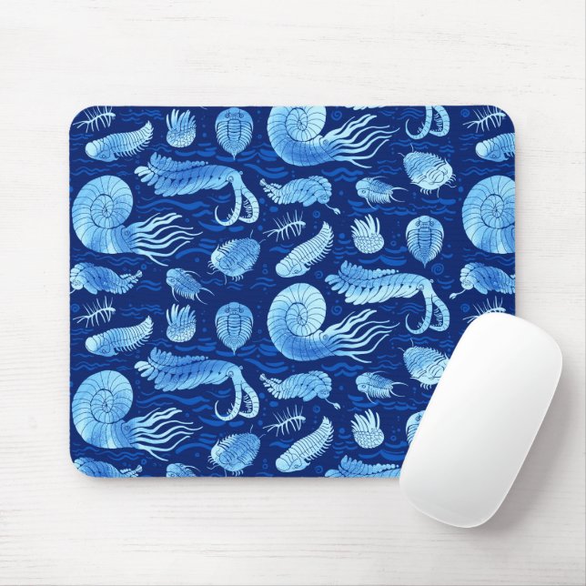Ancient sea animals: Trilobites, Anomalocaris... Mouse Mat (With Mouse)