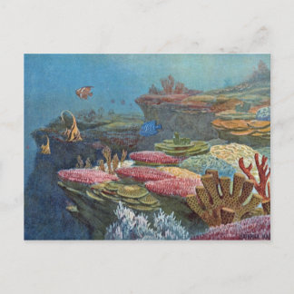 Ancient Sea Coral Antique Print Postcard