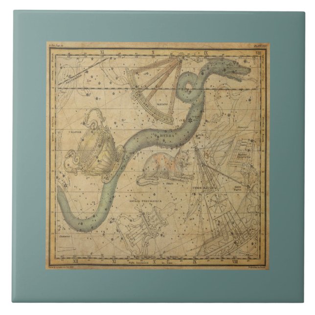 Ancient Star Chart of the Hydra Constellation Tile (Front)