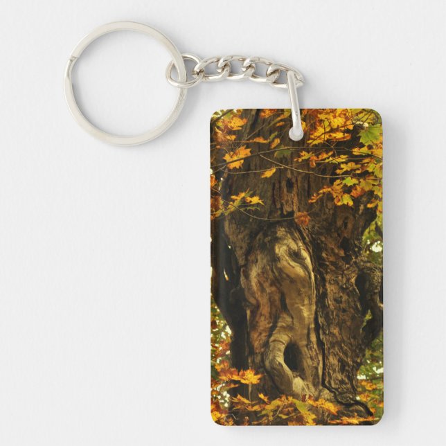 Ancient Tree Keychain (Front)