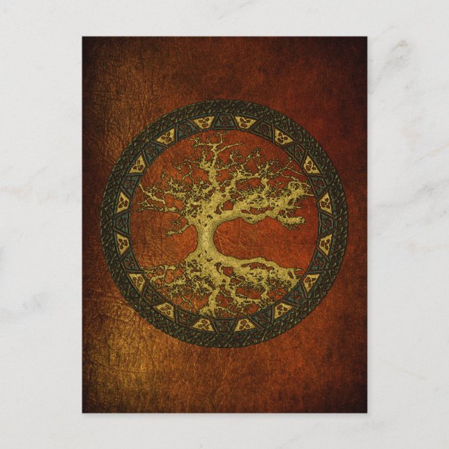 Ancient Tree of Life Postcard (Front)