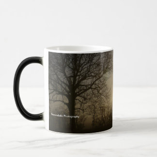 'Ancient Trees' Mug