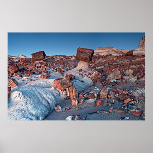 Ancient Trees of the Petrified Forest Poster (Front)