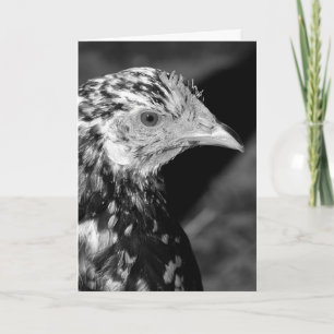 Ancona Hen Card