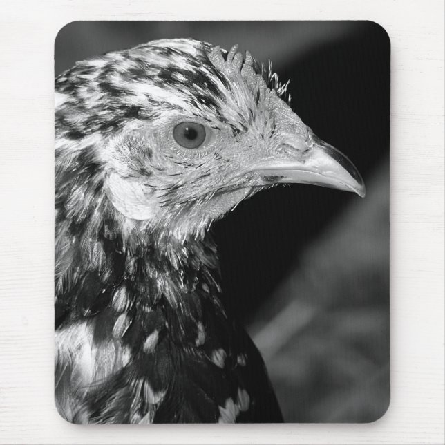 Ancona Hen Mouse Mat (Front)