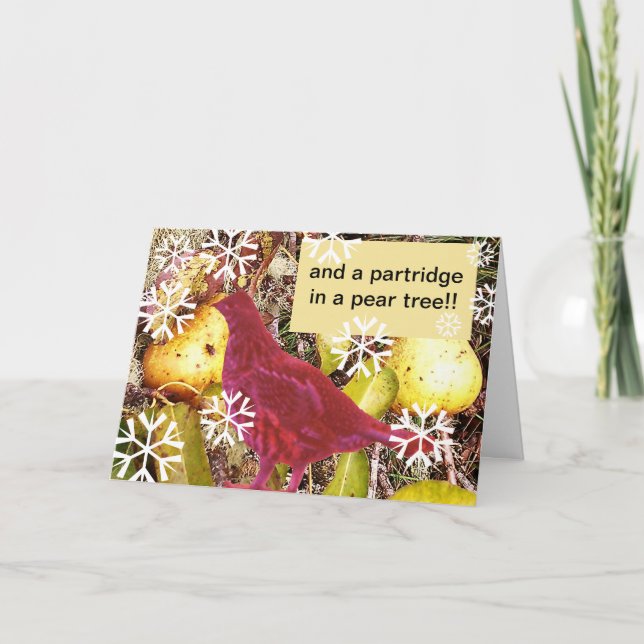 And a Partridge in a Pear Tree Holiday Card (Front)