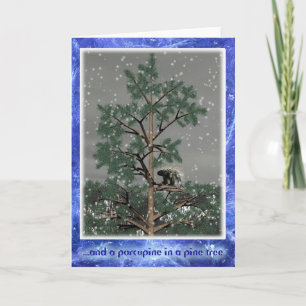 And A Porcupine In A Pine Tree Holiday Card