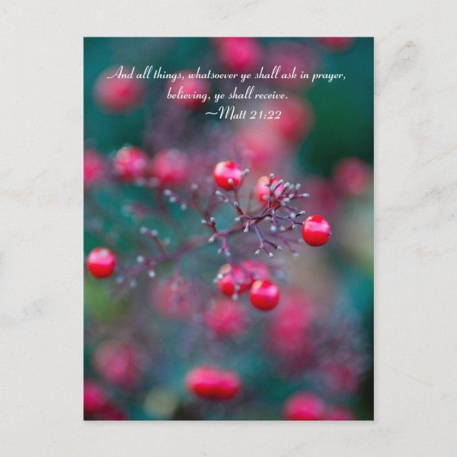 And all things, whatsoever ye shall ask in prayer, postcard (Front)