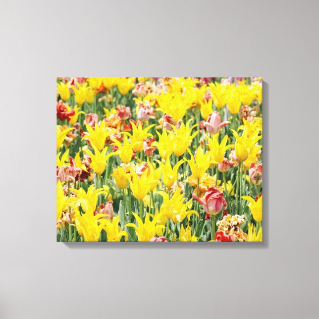 And Life Goes On  Canvas Print (Front)
