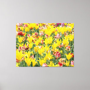 And Life Goes On  Canvas Print