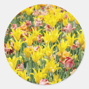 And Life Goes On  Classic Round Sticker