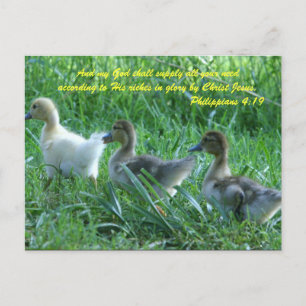 And my God shall supply all your need according to Postcard