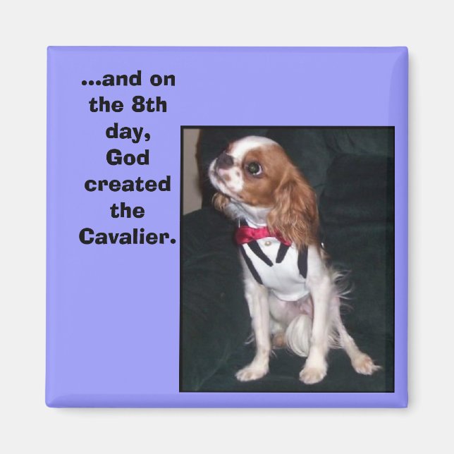 and on the 8th day,God created the cavalier magnet (Front)