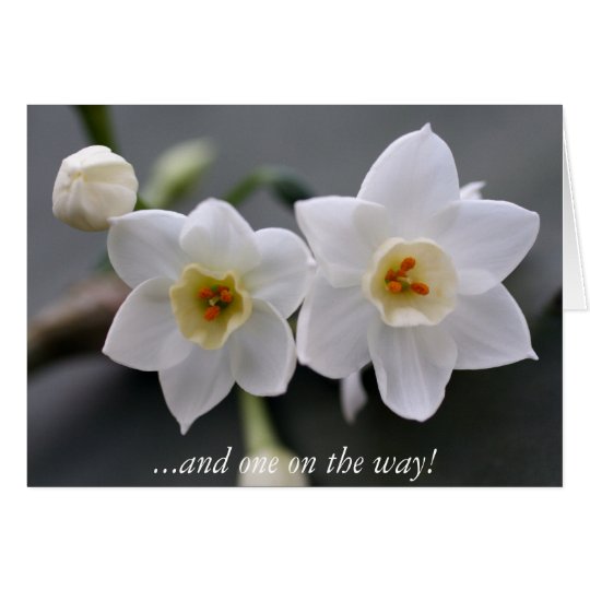 ...and one on the way! card