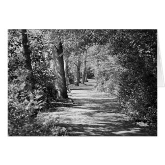 And the path runs through it