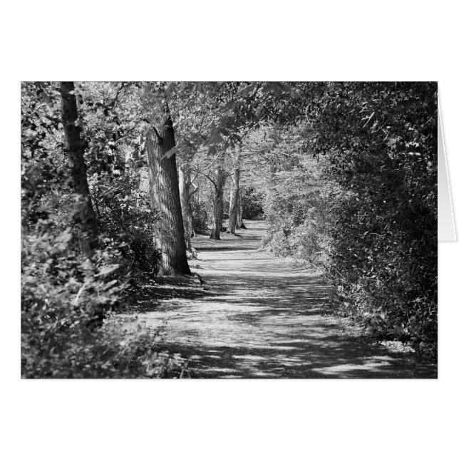 And the path runs through it (Front Horizontal)