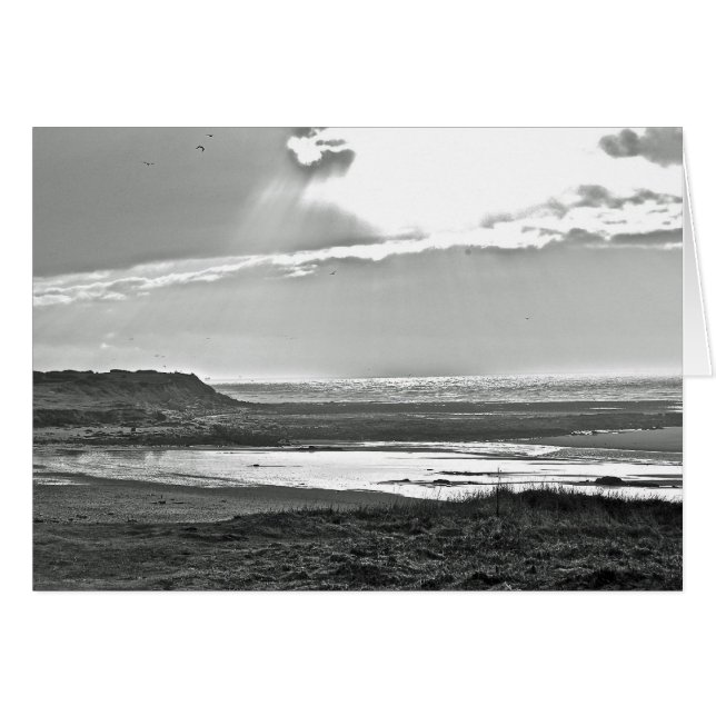 And There Was Light (Front Horizontal)