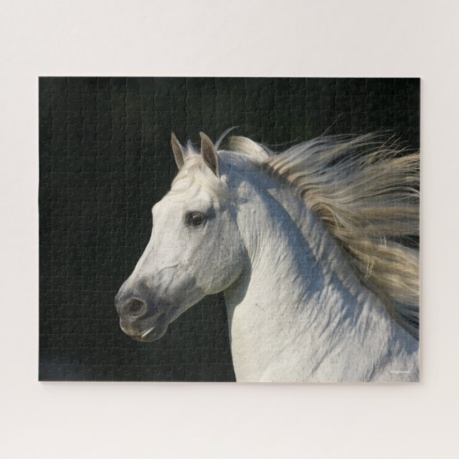 Andalucian Stallion Headshot Mane Flowing Jigsaw Puzzle (Horizontal)