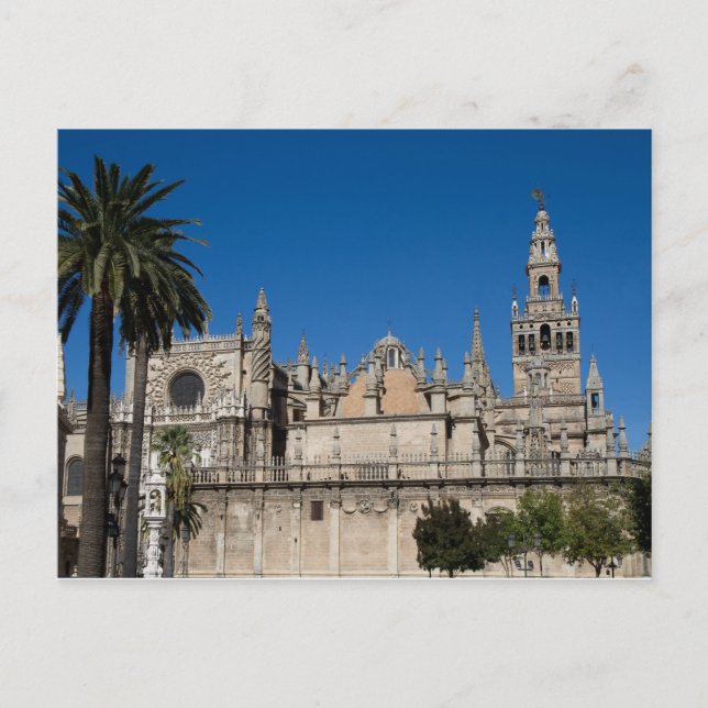 Andalusia - Cathedral of Seville postcard (Front)
