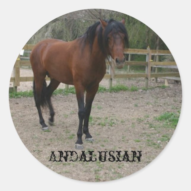 Andalusian Classic Round Sticker (Front)