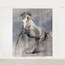 Andalusian dapple grey horse in motion